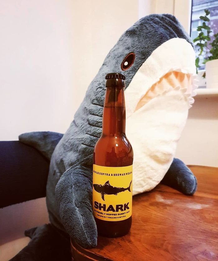 Blahaj, who drinks "shark" beer