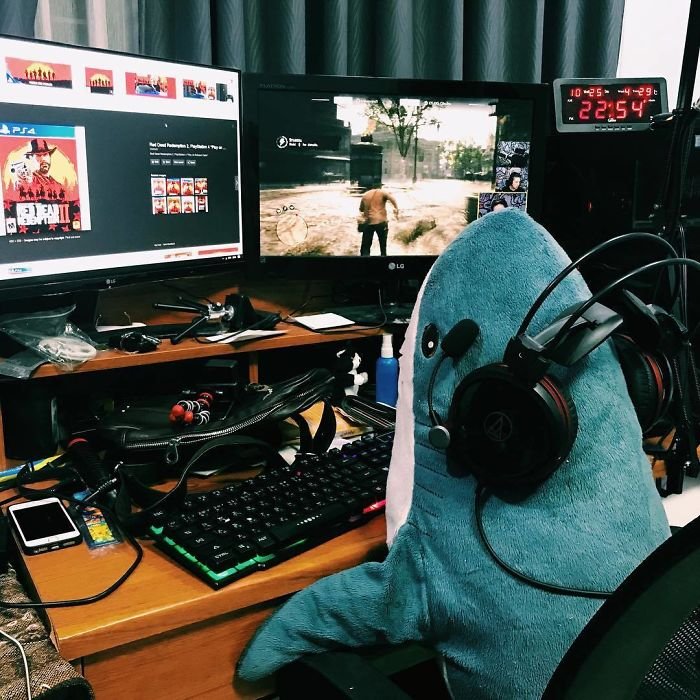 Blahaj playing games