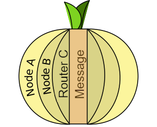 1 Layers of the onion